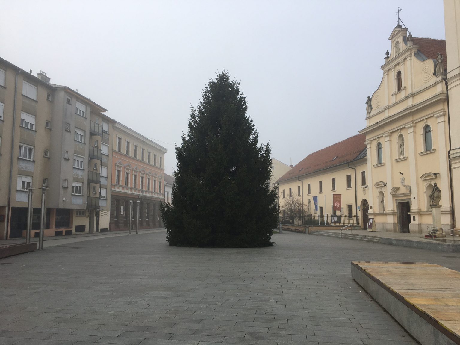 Jelka u očekivanju ukrašavanja