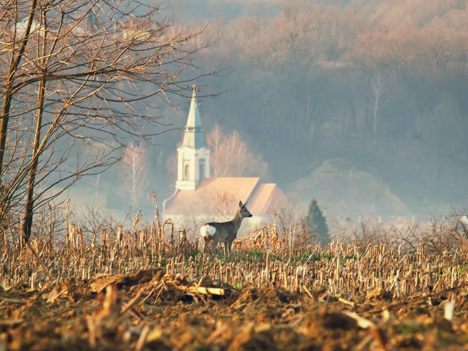 Izložba autorskih fotografija Darka Kekelja